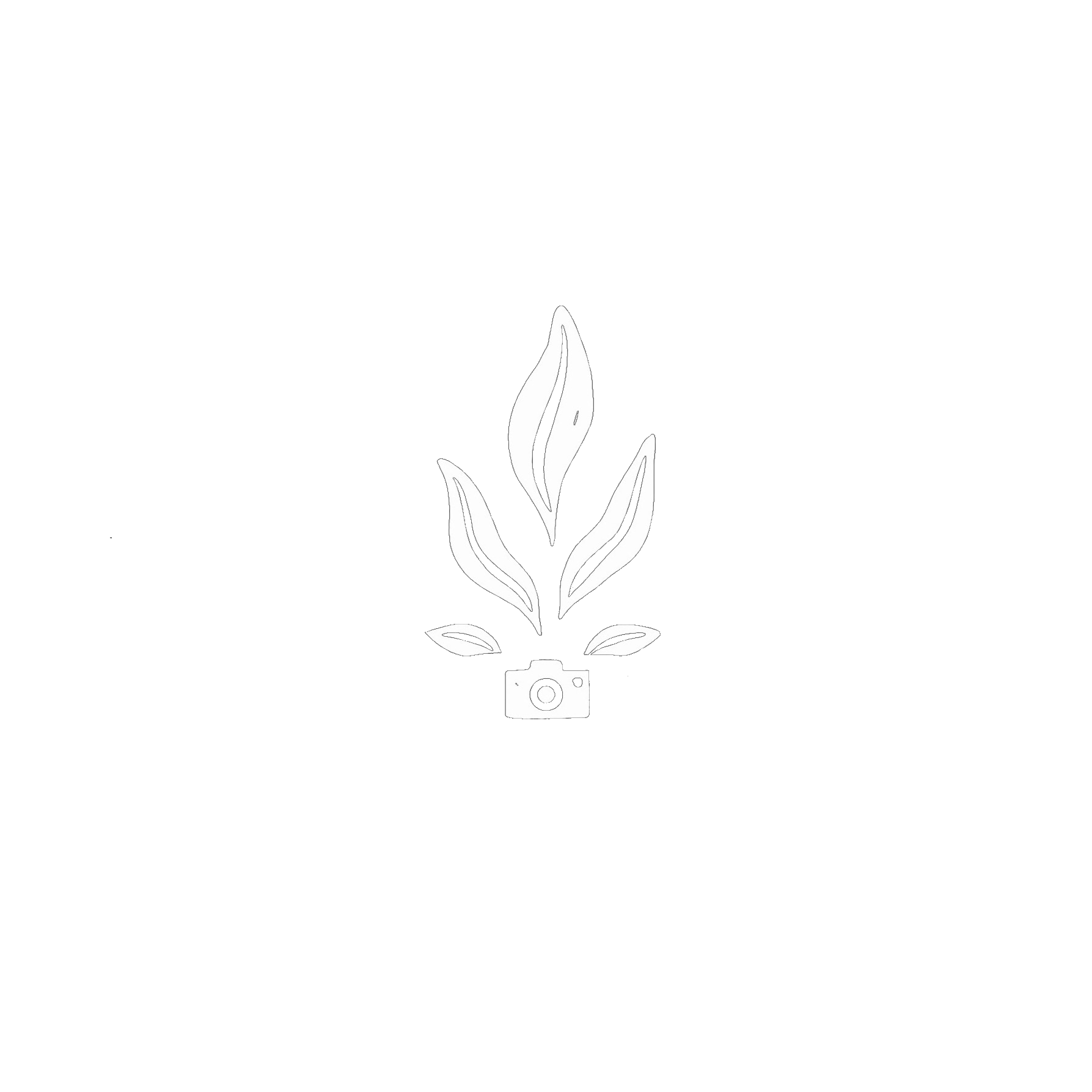 Adel Films - Toronto Videographer and Photographer